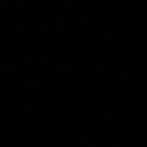 Meet your Posher, Abeer